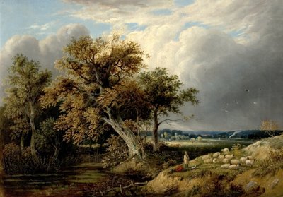 Paesaggio con alberi e pecore, XIX secolo da William Henry Crome